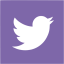 twitter264